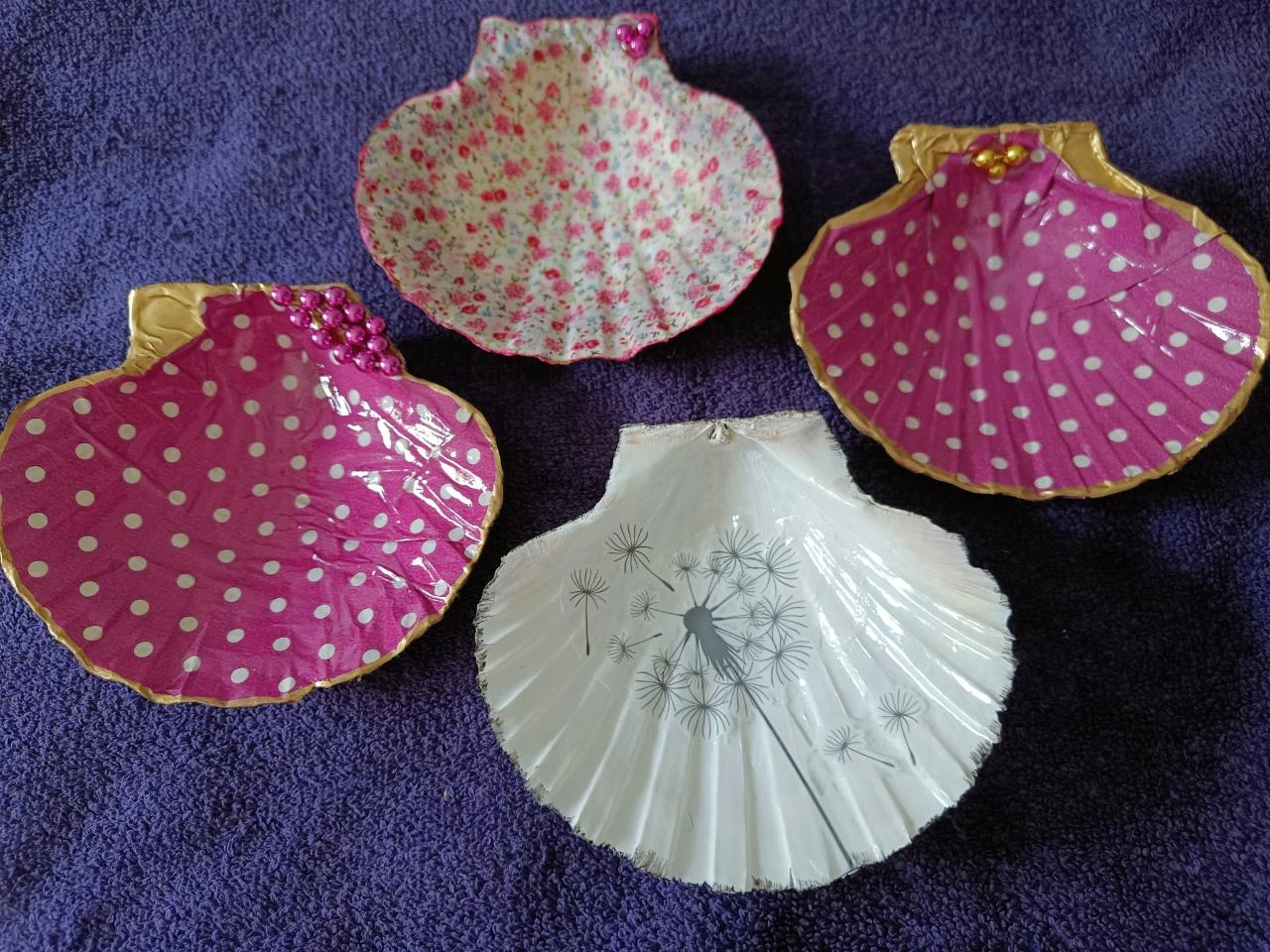 Coquillages naturels – photo 3